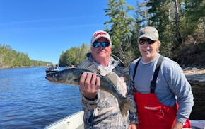 Steve Vilks, left, of Naples, Fla., and Joe Hermes, of Minneapolis, with a 20-inch walleye that was returned to Crane Lake, which is governed by an 18