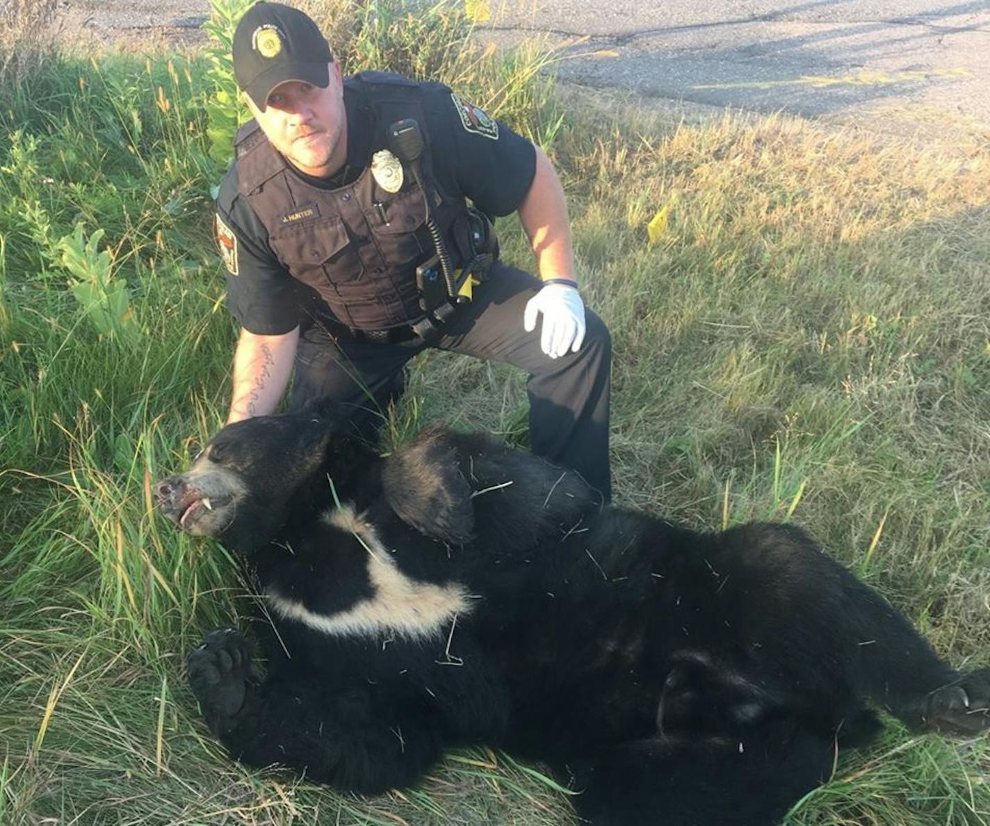 Police officer Josh Hunter and a bear that was fatally run over in Corcoran.