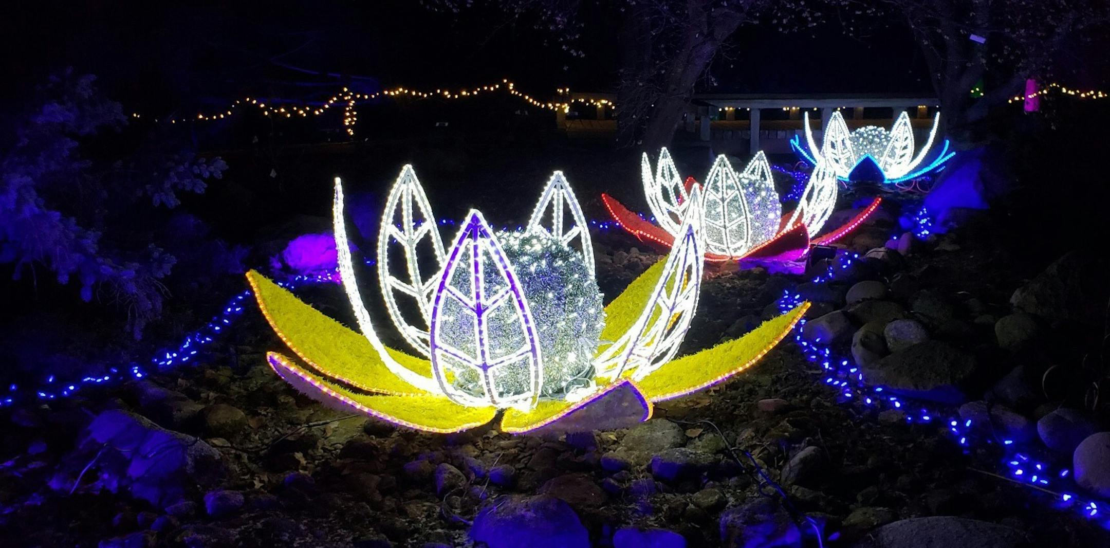 Waterlilies light sculptures from the Winter Lights display at the Minnesota Landscape Arboretum.