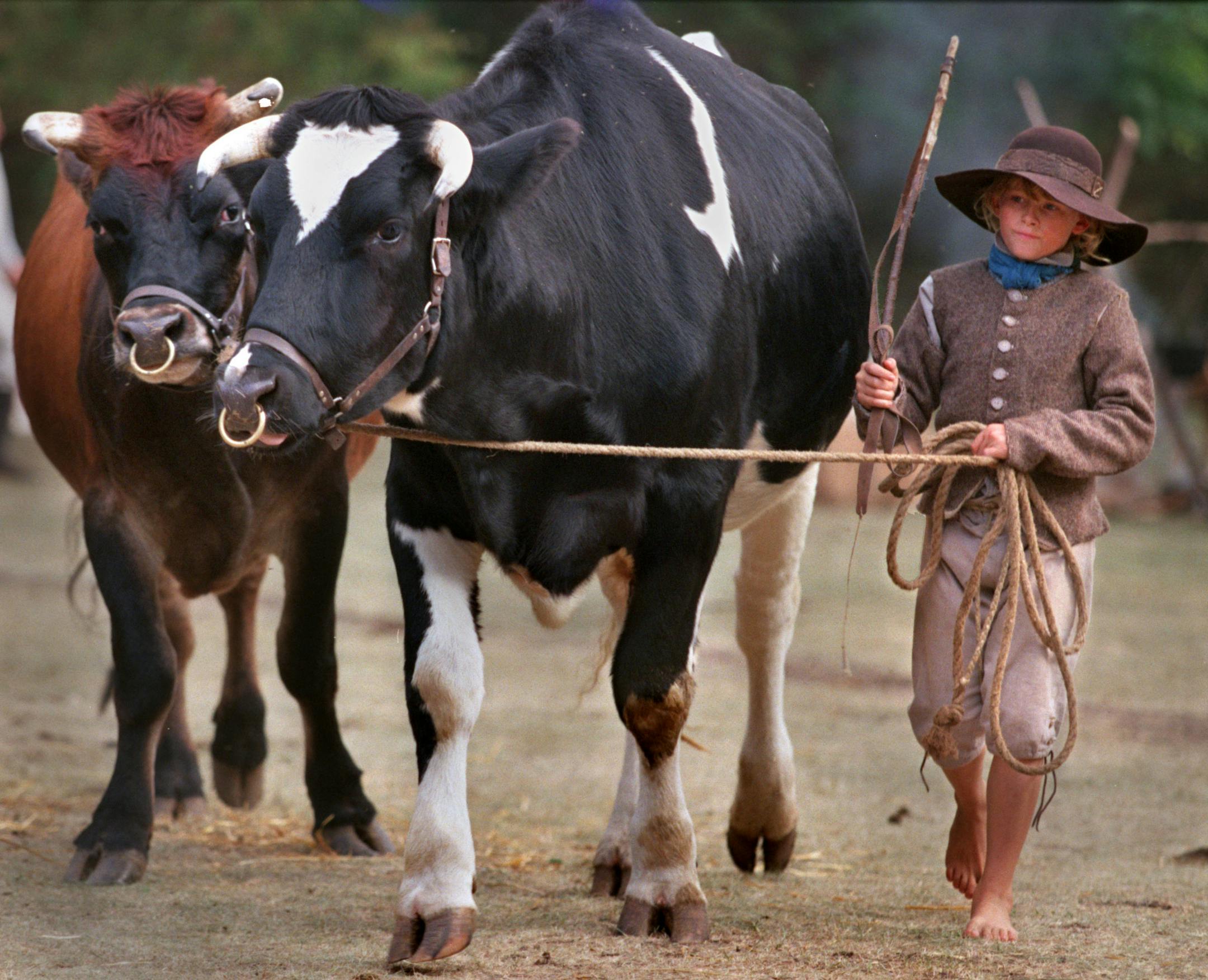 -- Sean Milligan of Milltown, KY, dressed up in period costume to drive a team of Oxen in a demonstration for school classes touring the park. The rendezvous continues through this weekend. Sean and his family are on the road for the entire fall demonstrating the lifestyles of the past and selling their handmade arts and crafts. Sean in homeschooled by his parents. ORG XMIT: MIN2013091617385509