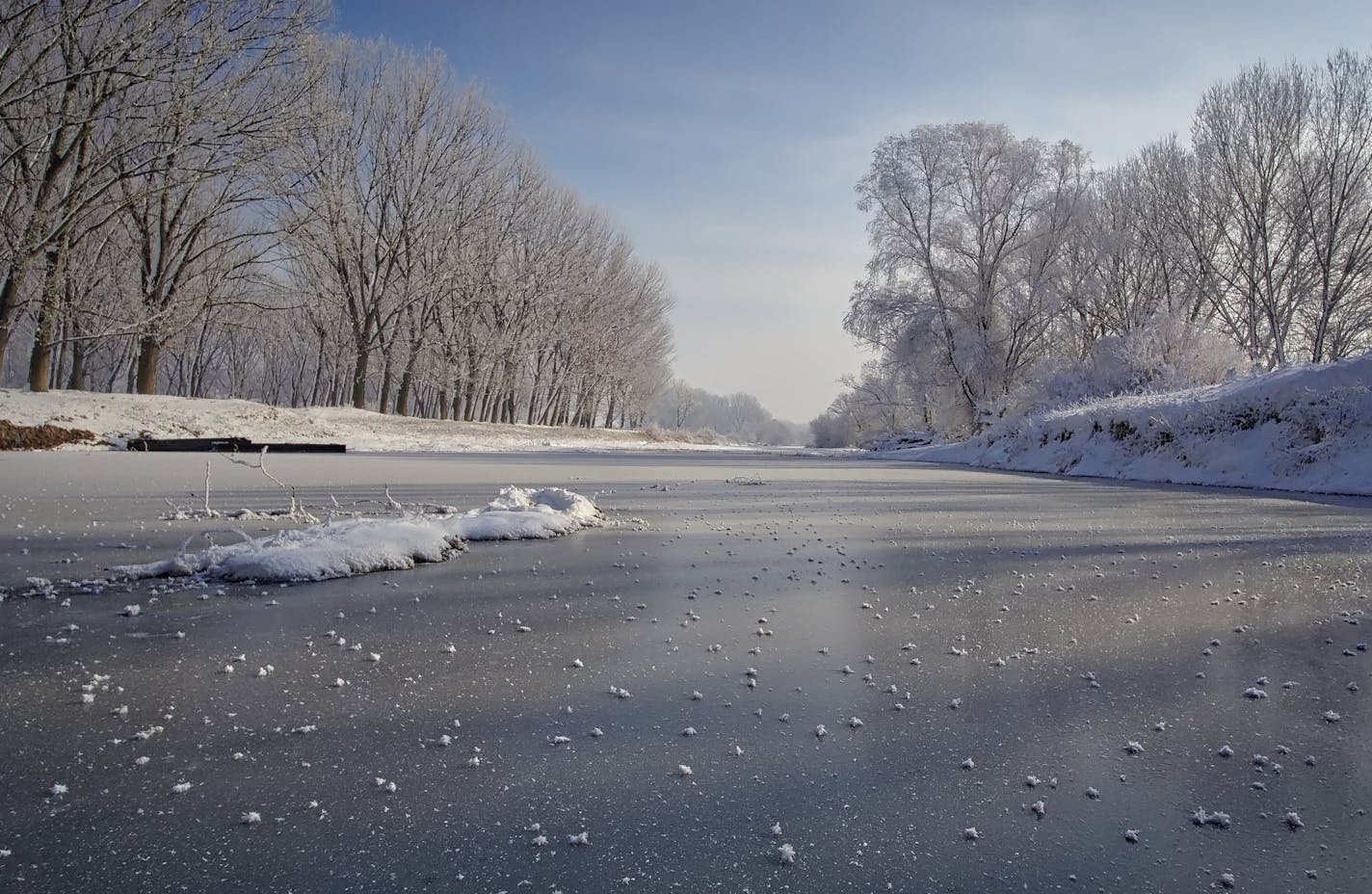 Aerial shot of trees and a frozen river during winter