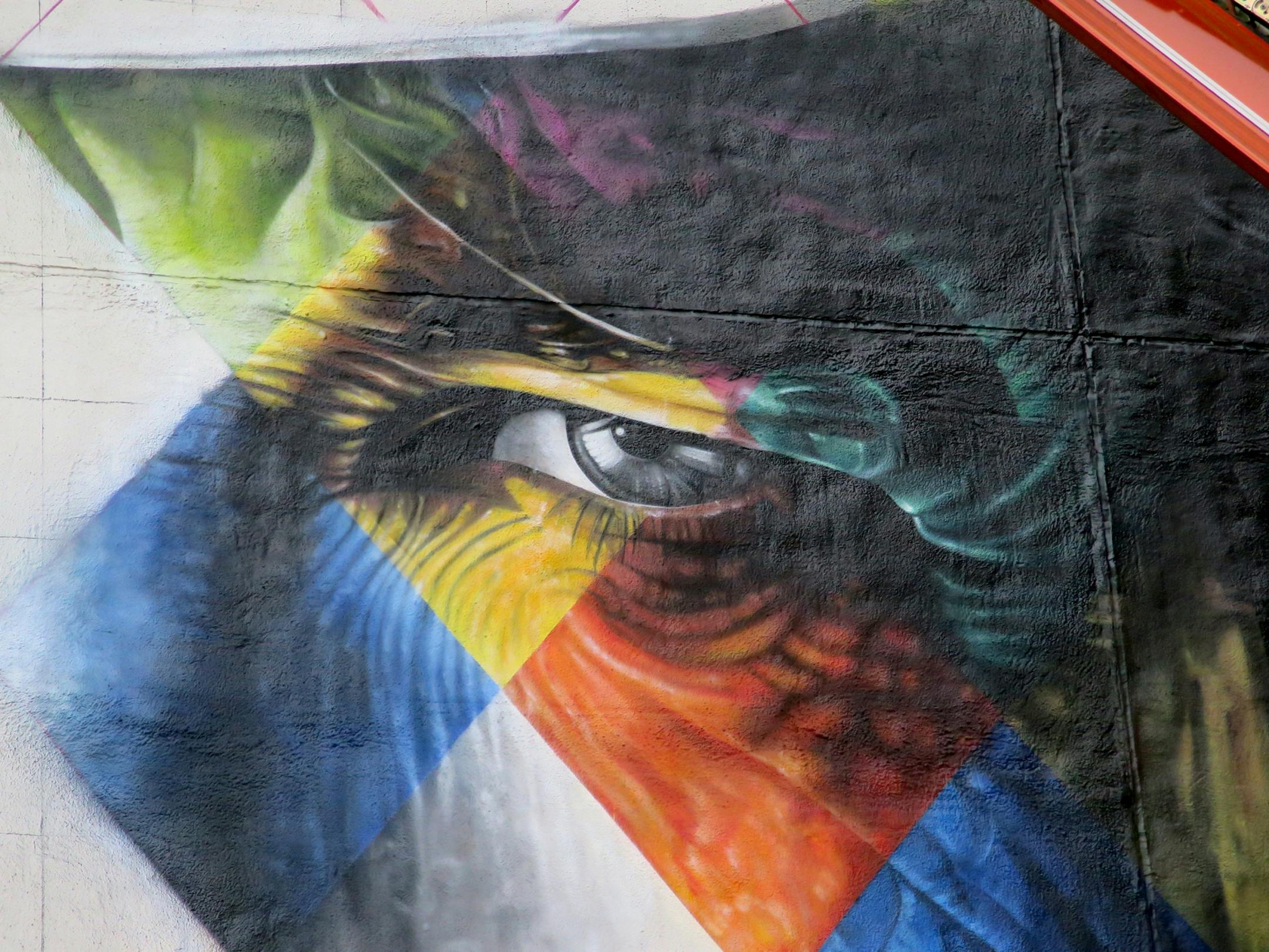 The blank white wall facing the corner of 5th and Hennipen Av has become the 'canvas' for a mural by Brazillian artist Kobra- with multiple images of Bob Dylan. Photo taken 09/02.