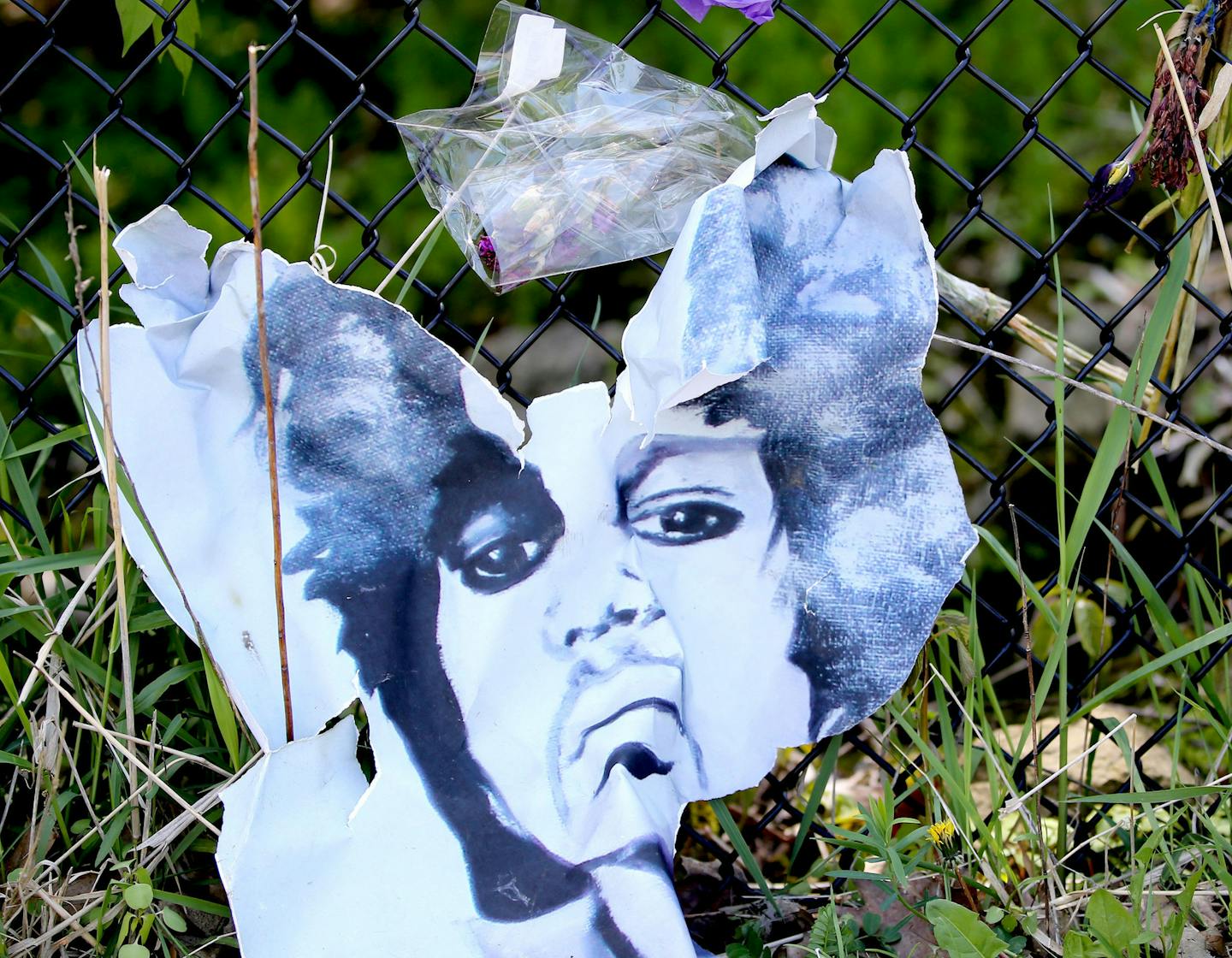 A weathered, torn portrait of Prince sits along the fence, outside Paisley Park Saturday, May 14, 2016, in Chanhassesn, MN.](DAVID JOLES/STARTRIBUNE)djoles@startribune In the days and weeks that have passed since the death of Prince Rogers Nelson, the memorial outside his residence and work place at Paisley Park has both grown largely and also begun to weather. Some of the items left behind from loving, appreciative and sad fans are pictured here. Some of the items were photographed using a tilt