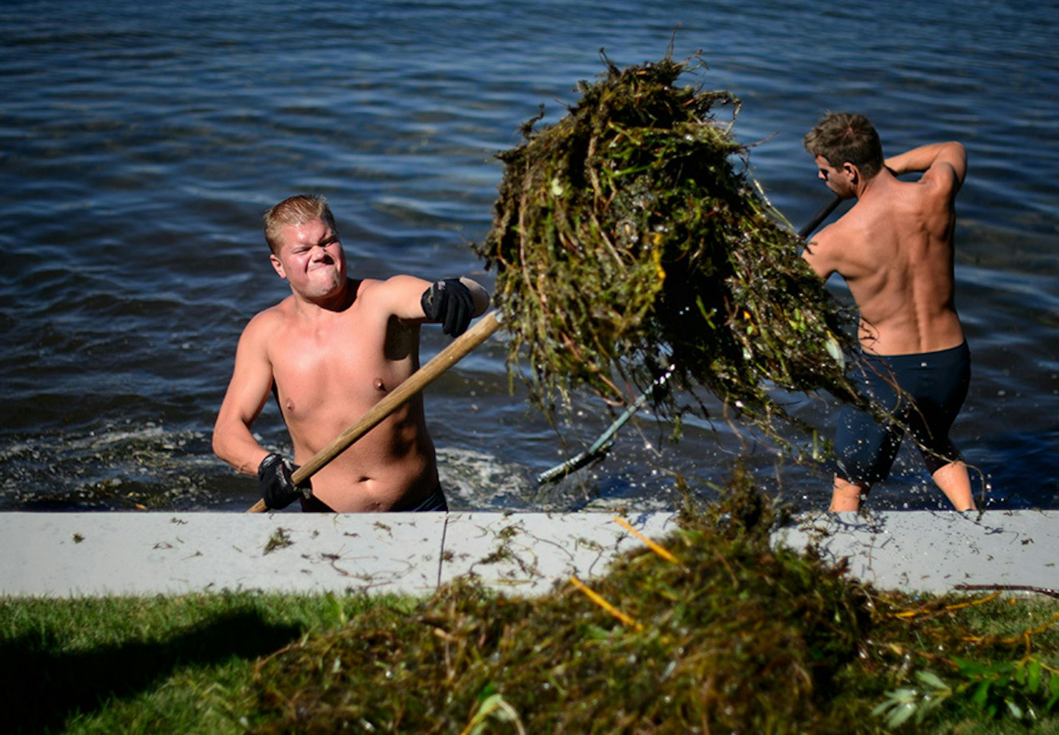 Jake Berg, left, pulled a heavy pile of lake weeds from Lake Minnetonka.