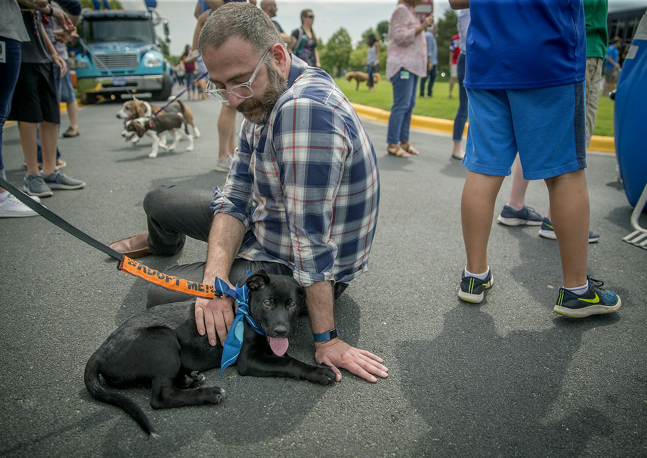 General Mills employee Mike Fotis became enamored with "Rosie" the dog needing adoption at the 3rd Annual Pupply Fest at General Mills, Friday, June 22, 2018 in Golden Valley, MN. To celebrate its foray into the pet food segment with its mega acquisition of Blue Buffalo, the Golden Valley food company hosted about 150 dogs (owned by its employees) on campus for 3rd Annual Puppy Fest. The event coincides with Bring Your Dog to Work Day. ] ELIZABETH FLORES ï liz.flores@startribune.com