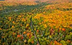 Northern Minnesota is the first to turn each fall and the mix of colors make for a spectacular show. The aspen, pine, maple and birch create a kaleido