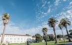 The Presidio is filled with trees varying from Palms to Eucalyptus to Redwoods and the architecture ranges from Mediterranean to Queen Anne and Coloni