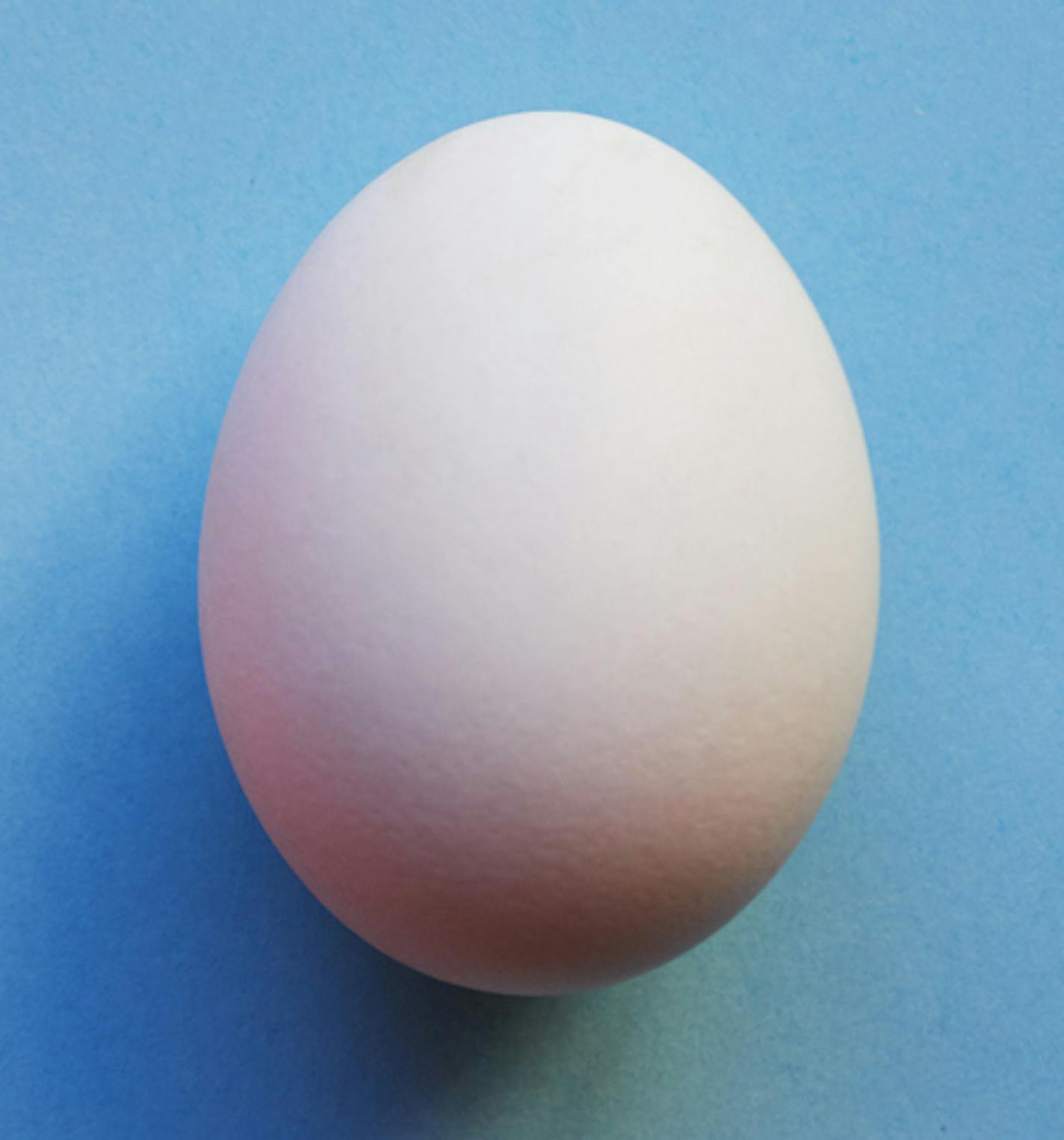 Studio shot of two eggs placed on two different colored backgrounds next to each other