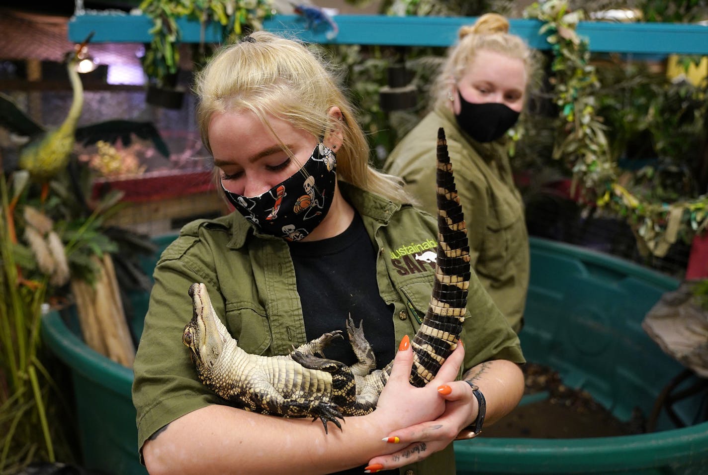 Sustainable Safari guide Taylor Swanson held Fat Albert, an American alligator, as Lindsey Peterson looked on at Maplewood Mall