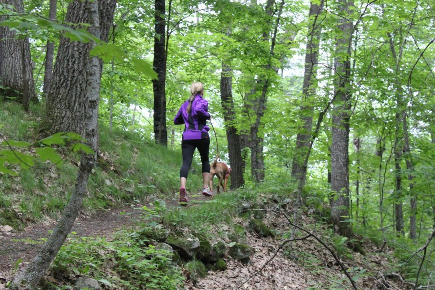 Wisconsin's Ice Age Trail