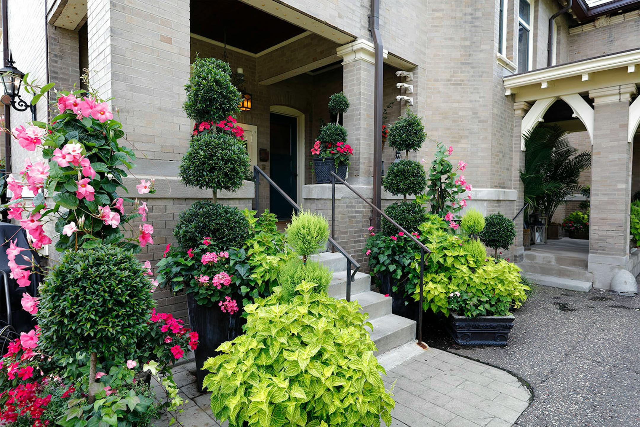 Patio plantings and topiaries at a side entrance.