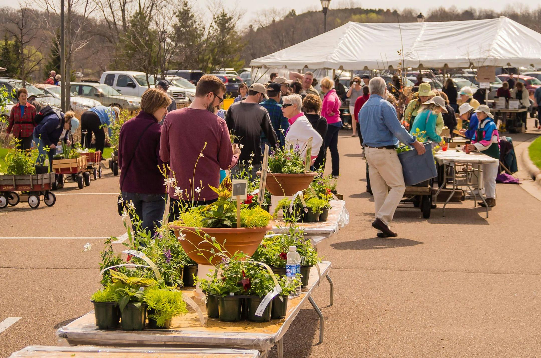 Arboretum Auxiliary Plant Sale
