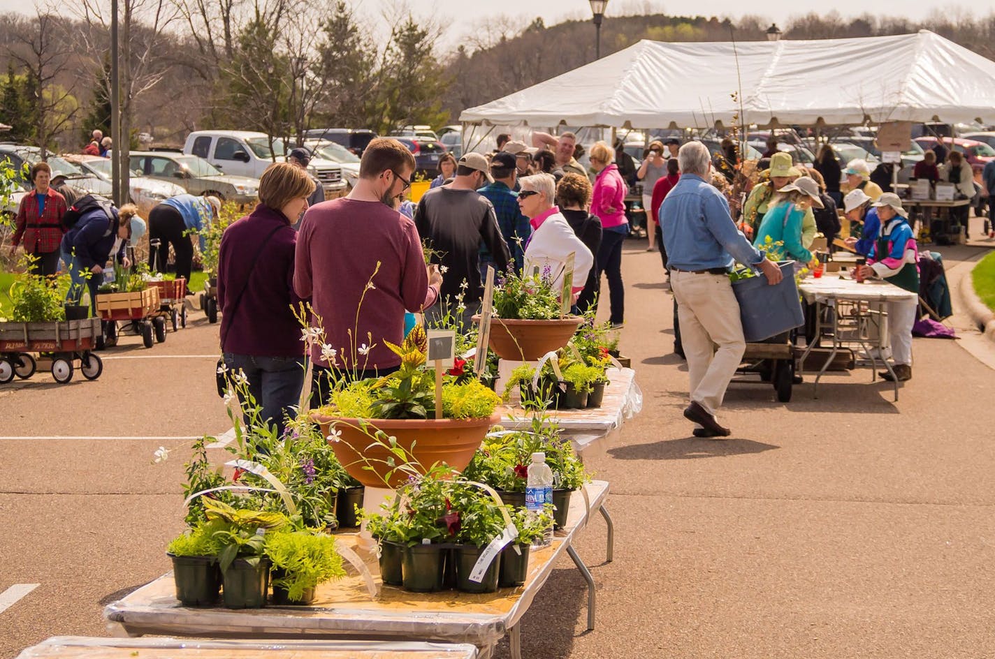 Arboretum Auxiliary Plant Sale