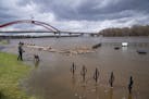 A man walked his dog alongside Levee Park on the Hastings Riverwalk, which was flooded by the Mississippi River on Friday.