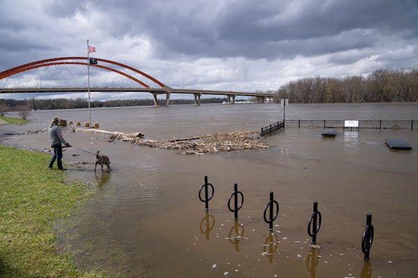 A man walked his dog alongside Levee Park on the Hastings Riverwalk, which was flooded by the Mississippi River on Friday.