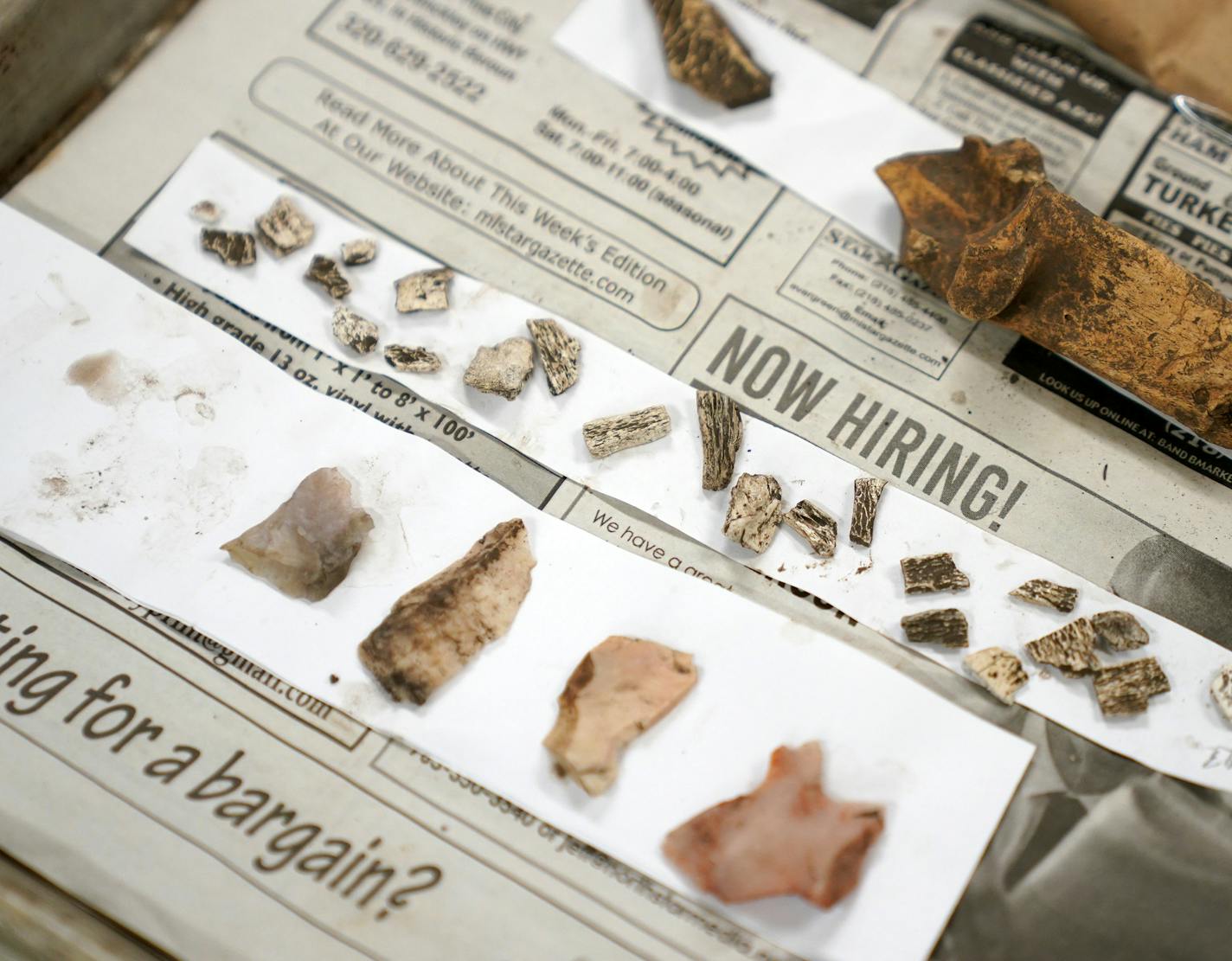 Artifacts unearthed during trail construction on Coney Island as part of Waconia Regional Park sat out to be bagged. ] ANTHONY SOUFFLE &#x2022; anthony.souffle@startribune.com Archeologist Kelly Wolf, principle investigator for the project, and volunteer Larry Macht cleaned and bagged artifacts unearthed during trail construction on Coney Island as part of Waconia Regional Park Thursday, March 19, 2020 at the Carver County Historical Museum in Waconia, Minn.