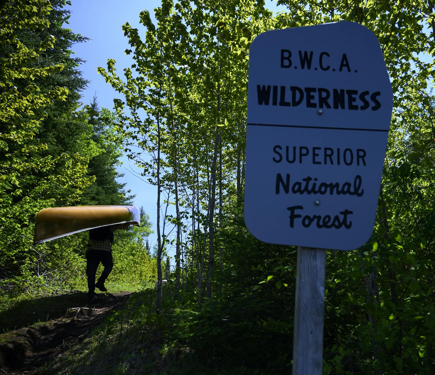 Tony Jones portaged a canoe into the Boundary Waters Canoe Area on the famed "Height of Land Portage" from North Lake into South Lake Tuesday. ] Aaron Lavinsky &#xa5; aaron.lavinsky@startribune.com DAY 1 - Tony Jones, his 14-year old son Aidan
, their friend Brad Shannon and Outdoors editor Bob Timmons embarked onto the Voyageurs Highway on Tuesday, June 11, 2019. Their path Tuesday took them from Gunflint Lake, to North Lake, through the Height of Land Portage eventually ending at a camp site o