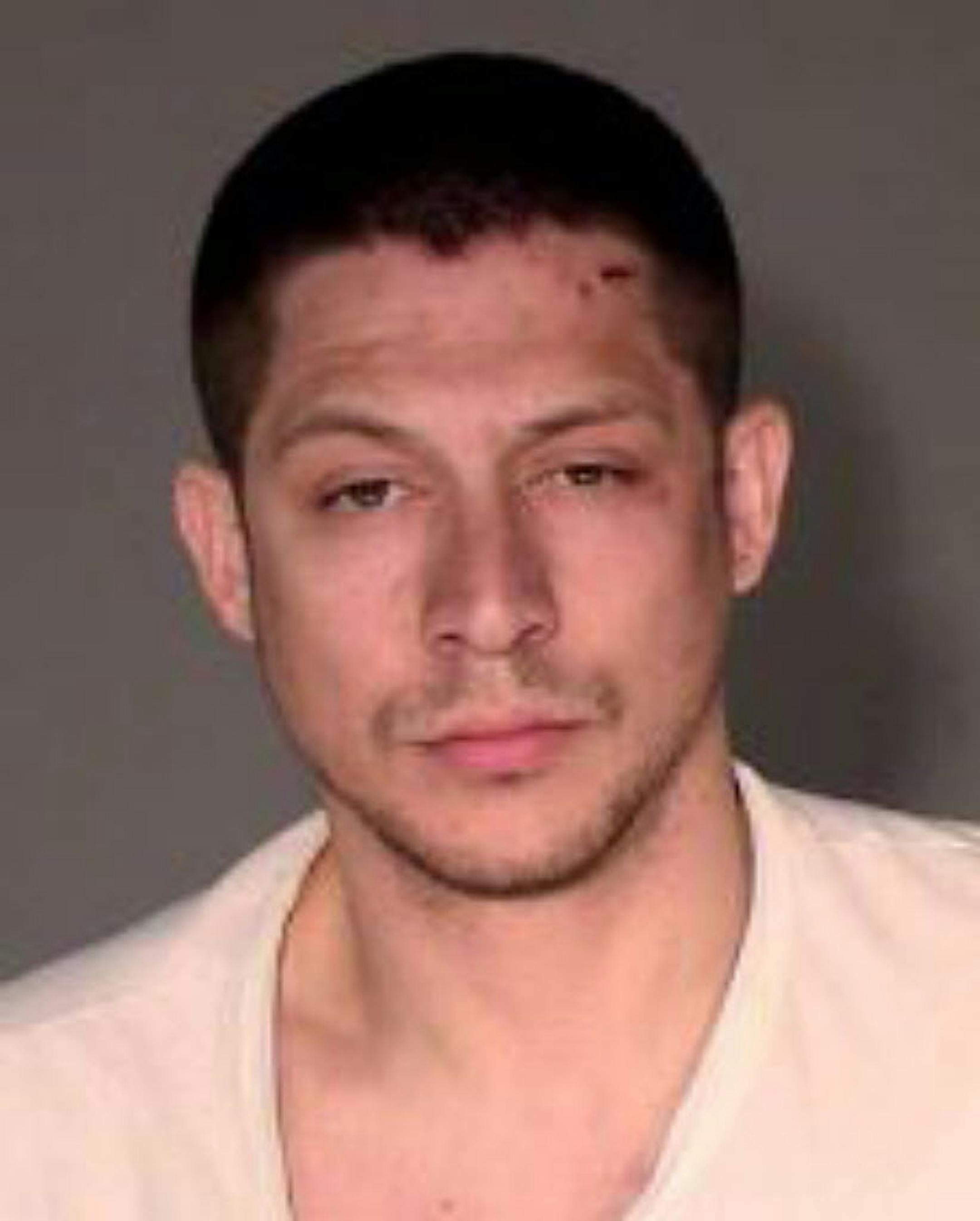 Matthew M. Damman pleaded guilty in Ramsey County District Court to fleeing a State Trooper and then crashing into a pole that flew into the Bulldog Restaurant and Bar in downtown St. Paul.