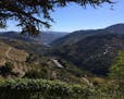 Bill Ward, Special to the Star Tribune The phrase "grapes like to grow in beautiful places" is especially true than in Portugal's Douro River valley, 