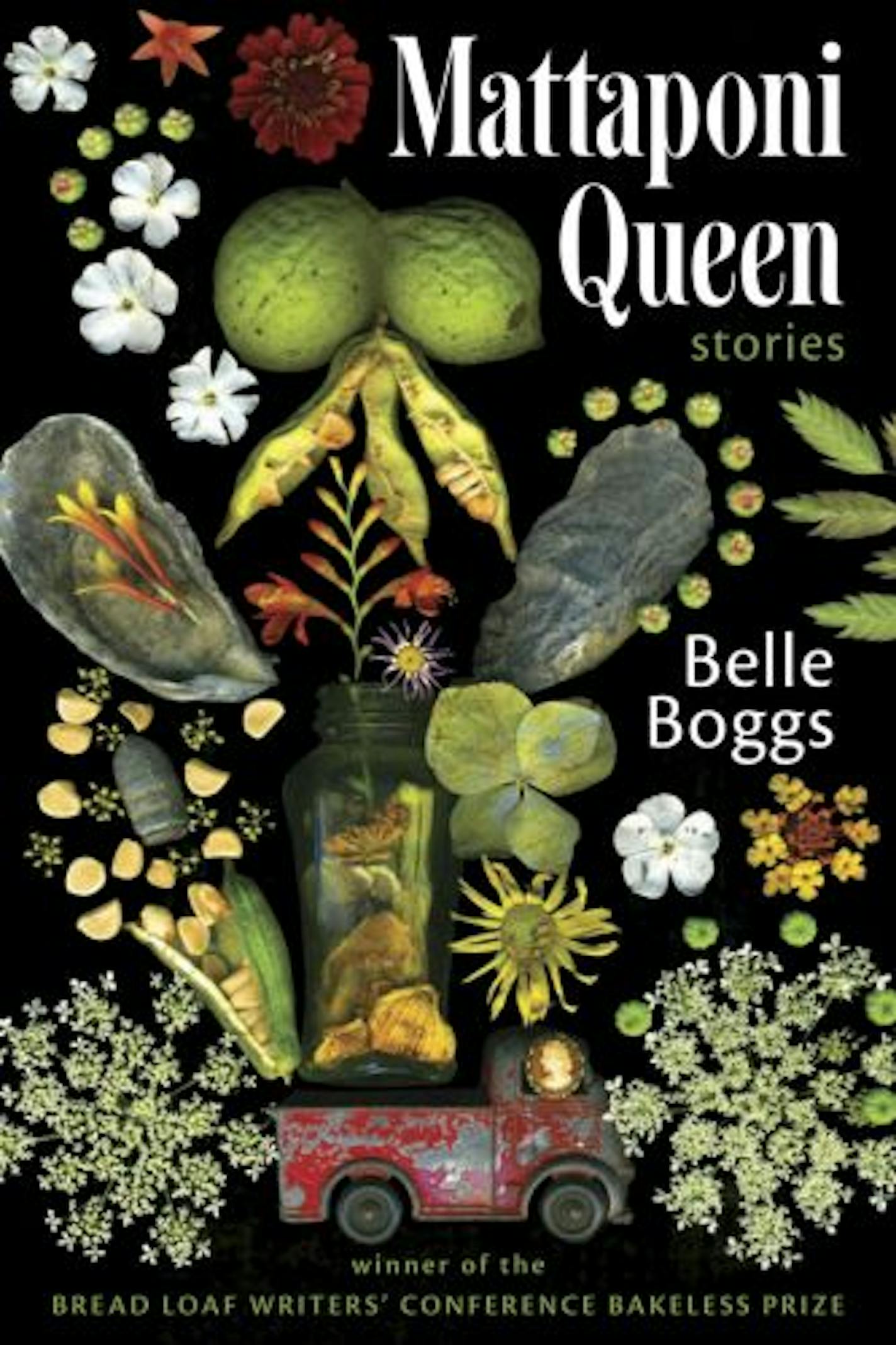 Mattaponi Queen by Belle Boggs