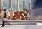 Pictured here: Students passed a statue of Goldy the gopher and the university’s logo during a class change at the University of Minnesota last mont
