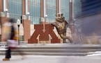 Pictured here: Students passed a statue of Goldy the gopher and the university’s logo during a class change at the University of Minnesota last mont