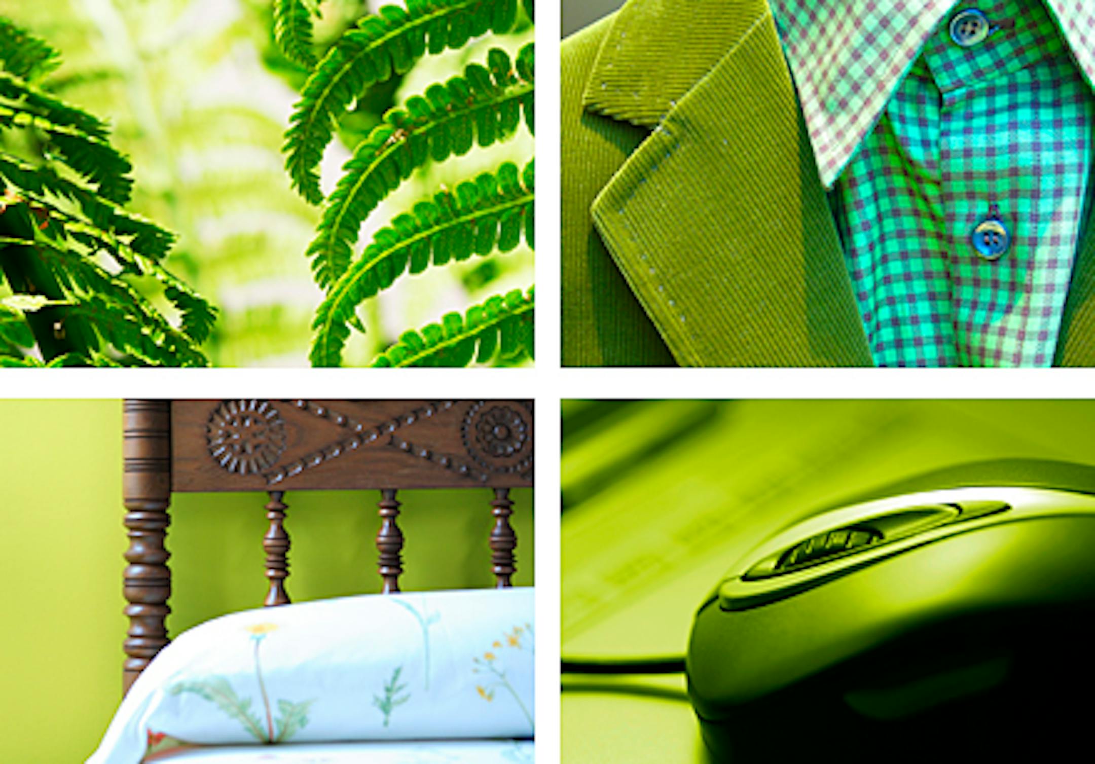 Photo illustration for living green