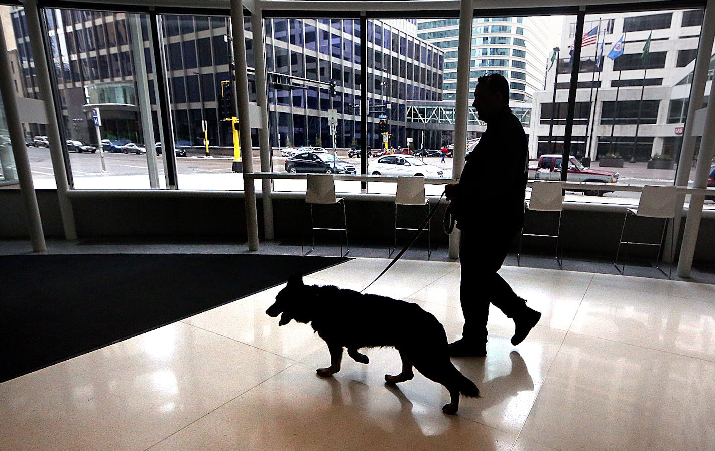 Dan Hughs, CEO of Dog Defense, worked with his German shepherd, Adak, to ensure the safety of those attending an event at a downtown Minneapolis skyscraper recently. Hughs used the dog to sweep areas in the building to make sure that there were no explosives present. ] JIM GEHRZ &#xef; james.gehrz@startribune.com / Minneapolis, MN / February 6, 2016 /9:30 AM &#xf1; BACKGROUND INFORMATION: A St. Cloud company that specializes in providing dogs for explosive detection has made a pivot with the tim