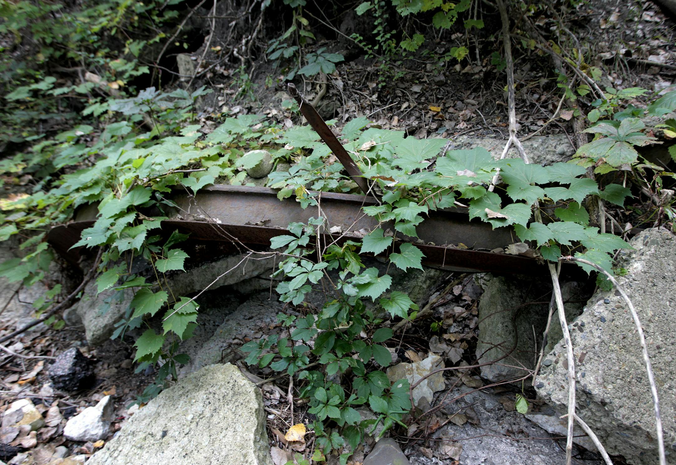 Whitney Clark of Friends of the Mississippi River showed the Ford dump site and areas of erosion along the riverbank, Friday, September 19, 2014 in St. Paul, MN. As Ford continues to work on demolishing its former St. Paul factory site, attention is turning to a little-known dump the company maintained on the river for decades. The MPCA is trying to determine whether it's polluted enough to require Ford to clean it up, while the Friends of the Mississippi River want the debris and solvents remov