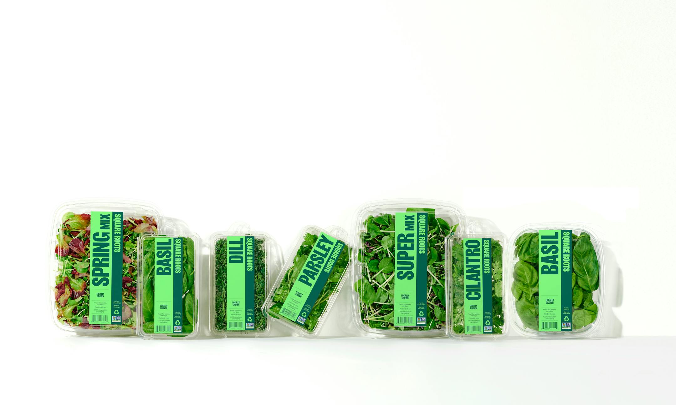 Image of Square Roots herbs and salad blend.