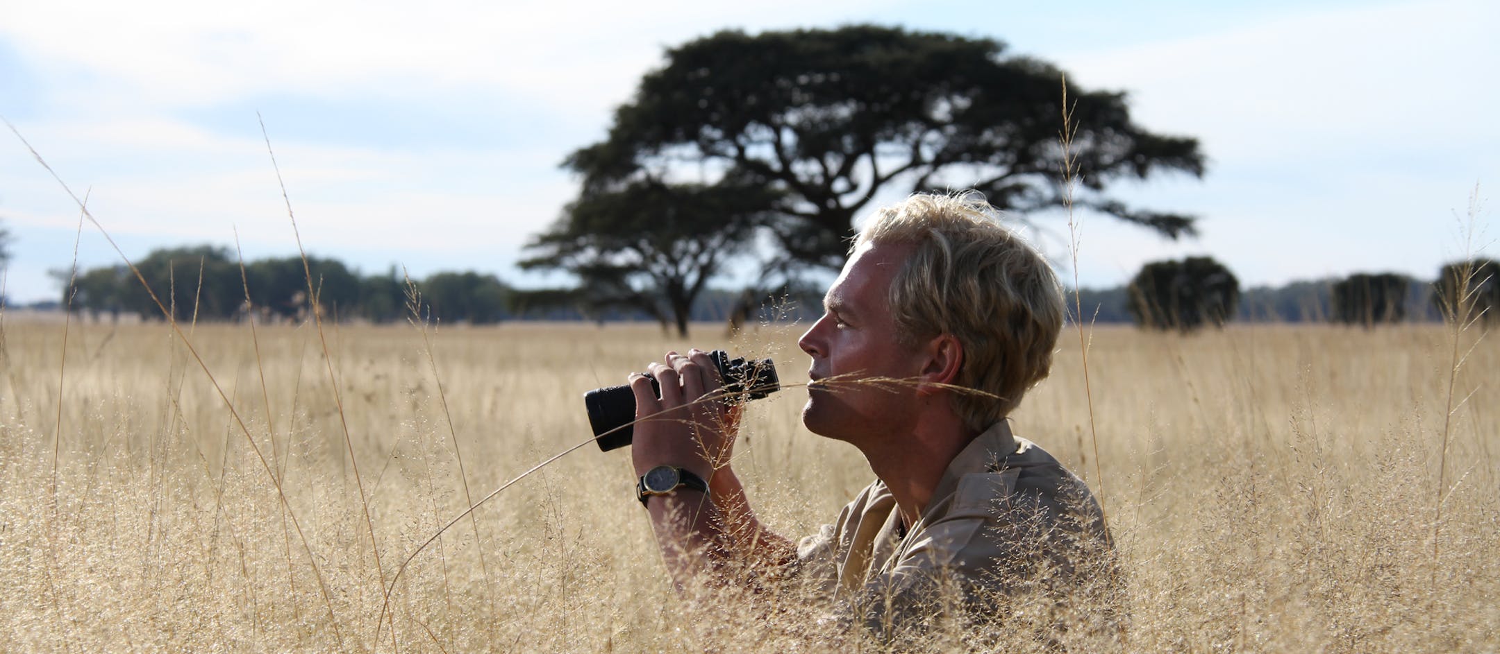 NATURE: The Serengeti Rules