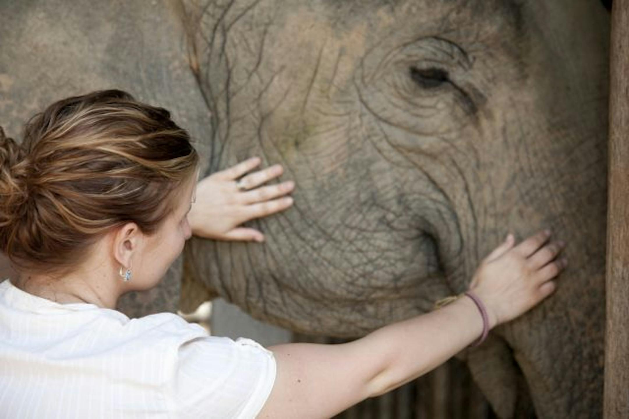 Woman tends to an elephant in Thailand.