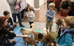 Children meet with baby goats at the Eden Prairie Eco Expo in 2023.