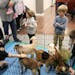 Children meet with baby goats at the Eden Prairie Eco Expo in 2023.