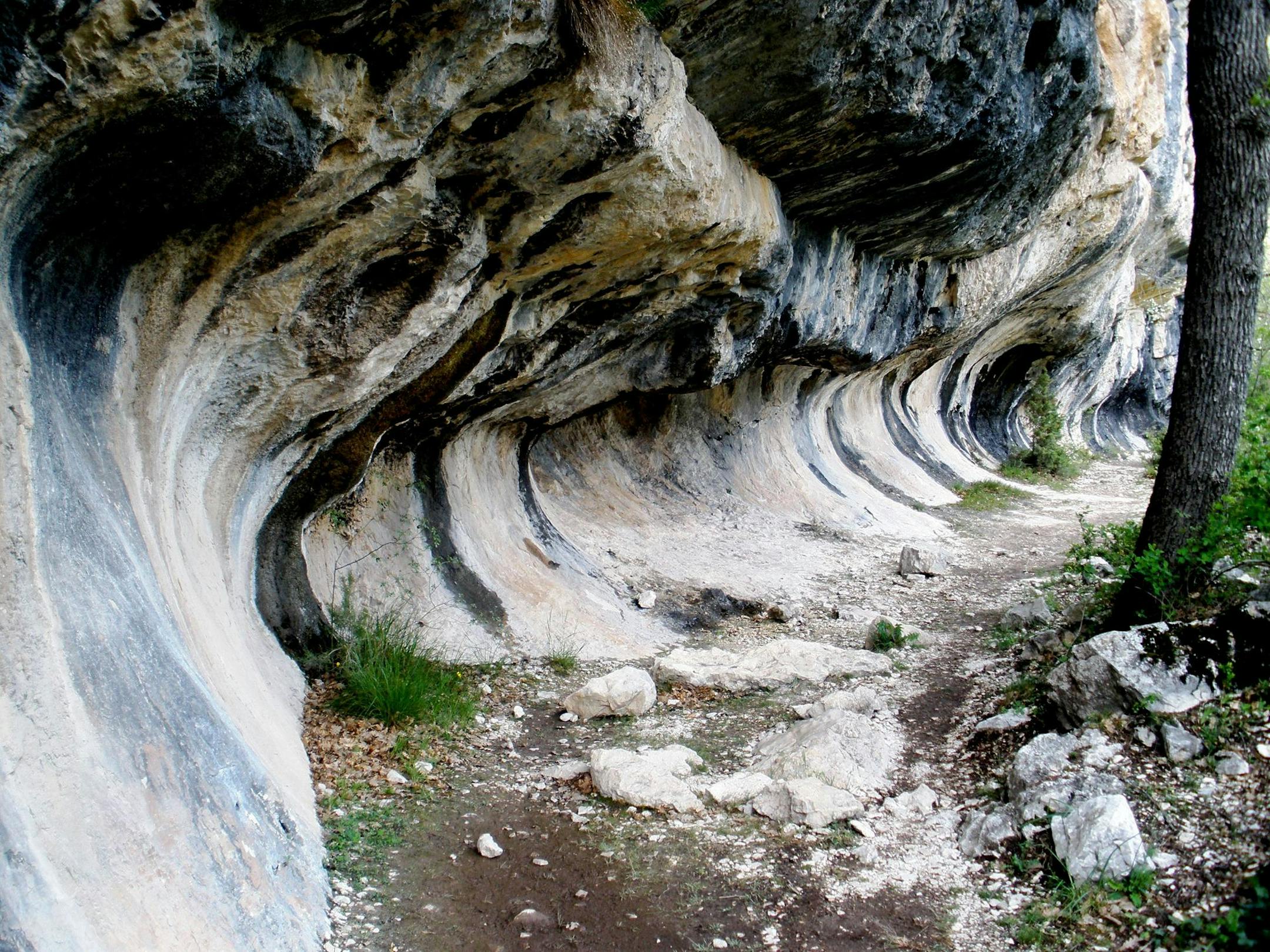The rushing Verdon River has carved deeply into the sidewalls of the canyon where hikers tread.