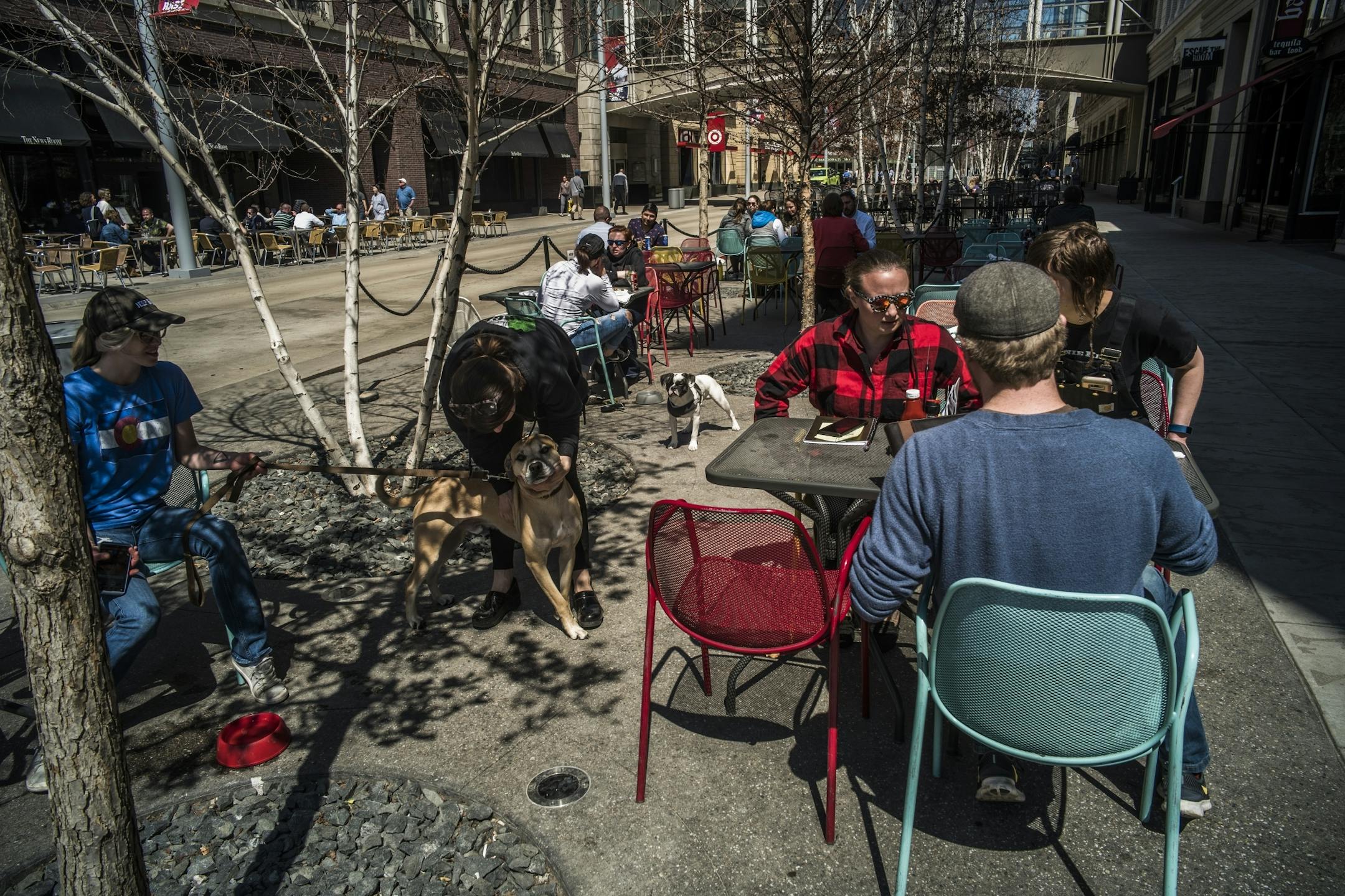 Ariana Linnell(blue) brought her dog Max for an outdoor lunch on Nicollet Mall.