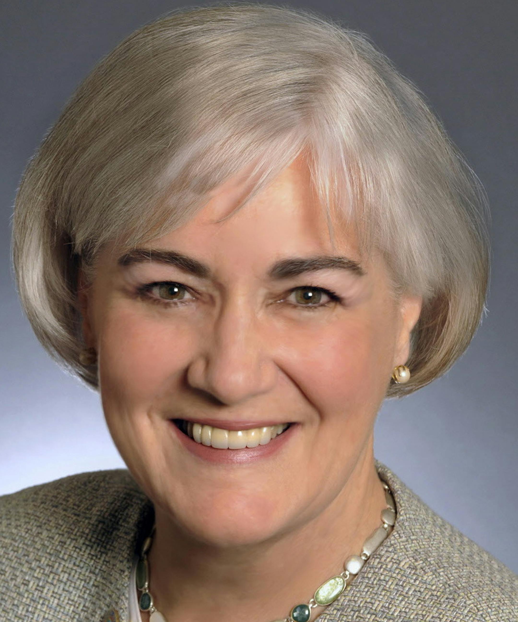 Sandy Rummel; Minnesota District 53 State senator; DFL; 2010.myVote id: 45835