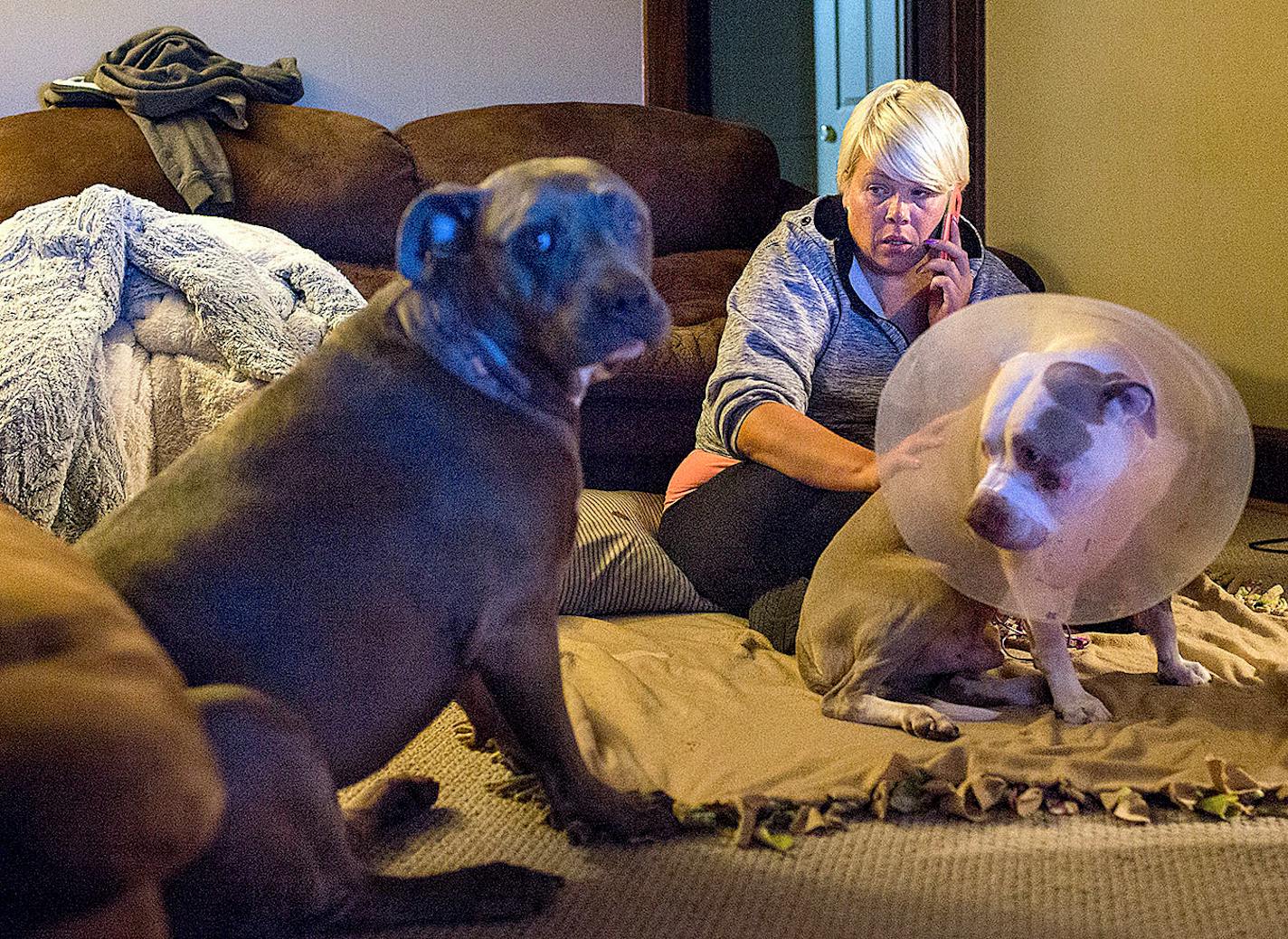 Jennifer LeMay sits at home for the first time with her dogs, Ciroc, (right) and Rocco since they got back from the vet.