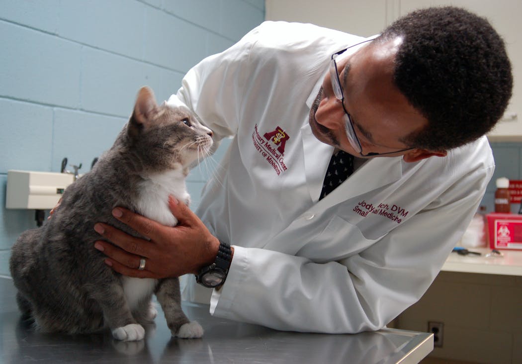 Jody Lulich, seen here examining a cat circa 2008, is a veterinarian and professor of internal medicine at the University of Minnesota’s College of Veterinary Medicine.