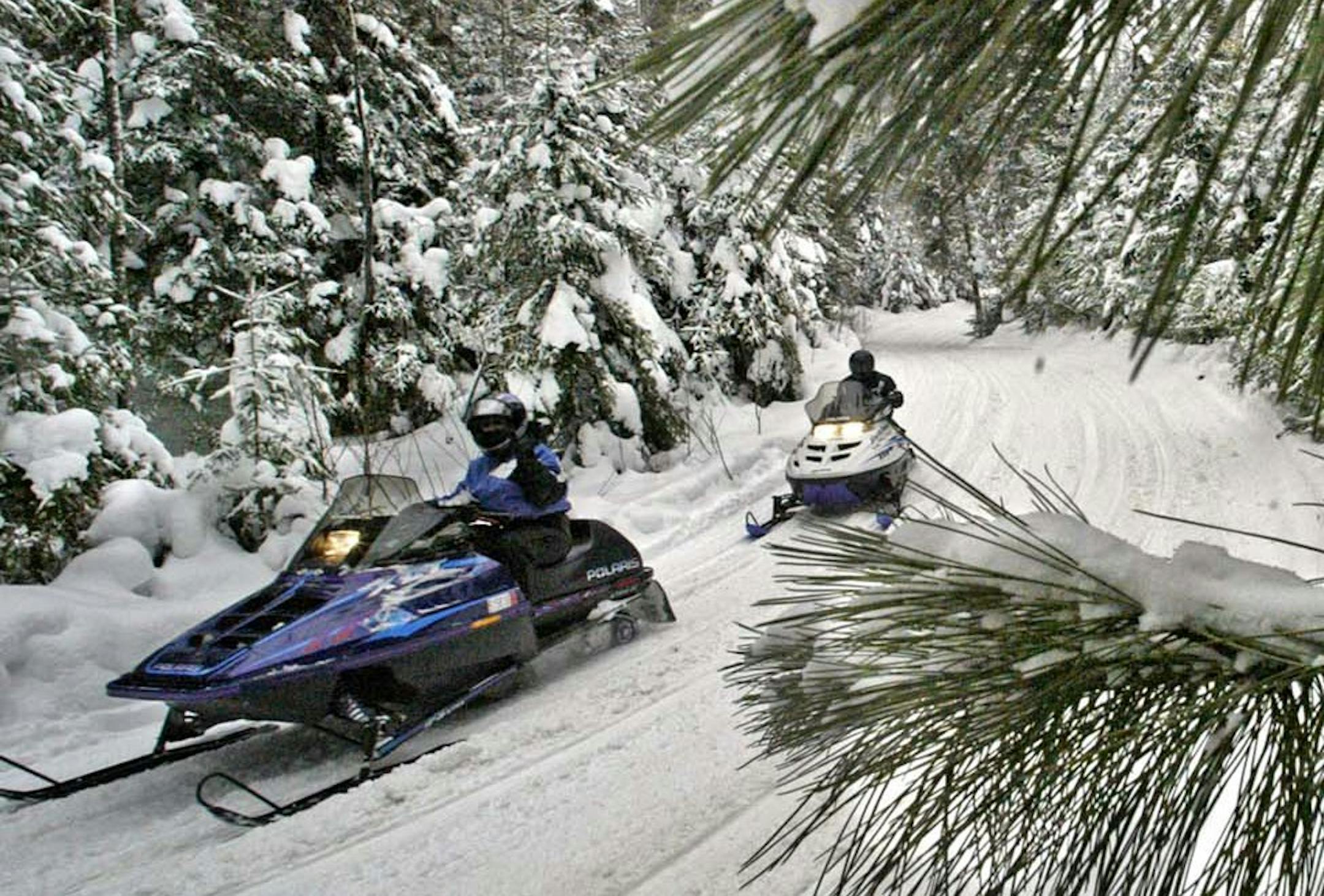 Marlin Levison - Strib 01/29/05 - Assign #93821 - Hundreds of snowmobilers headed to Ely over the weekend to participate in annual Fun Run snowmobile tour following state trails to Babbitt and Tower as well as Ely. Several thousand dollars of cash prizes were awarded to drivers with proceeds of the event to go towards maintaining the area snowmobile trails. Viking mascot Ragnar hosted the drivers. Over 500 sleds were registered to run the 150 mile loop. - IN THIS PHOTO: Sledders head down the Ta