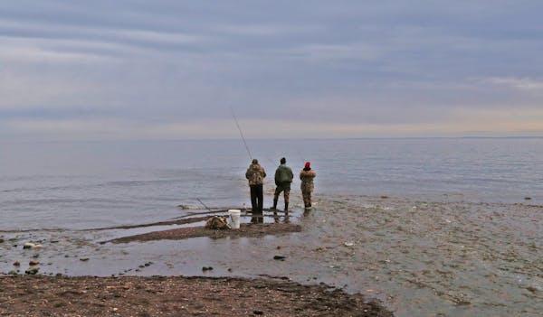 Fishing at the mouth of the French River, along Minnesota's North Shore, three anglers tried their luck for Kamloops, a type of rainbow trout. The onc