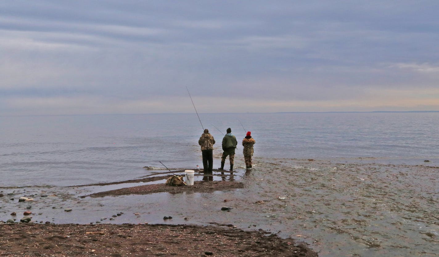 Fishing at the mouth of the French River, along Minnesota's North Shore, three anglers tried their luck for Kamloops, a type of rainbow trout. The once-stocked fish will soon be gone from the lake.