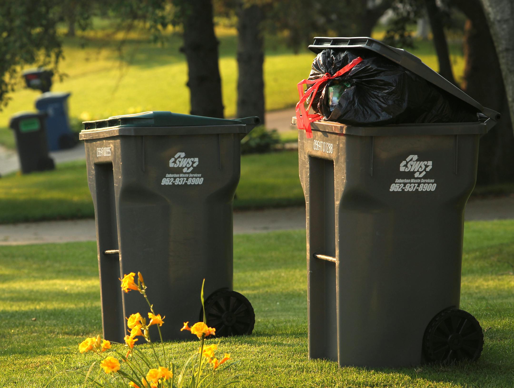 Trash and recycling bins line a neighborhood street in 2013.