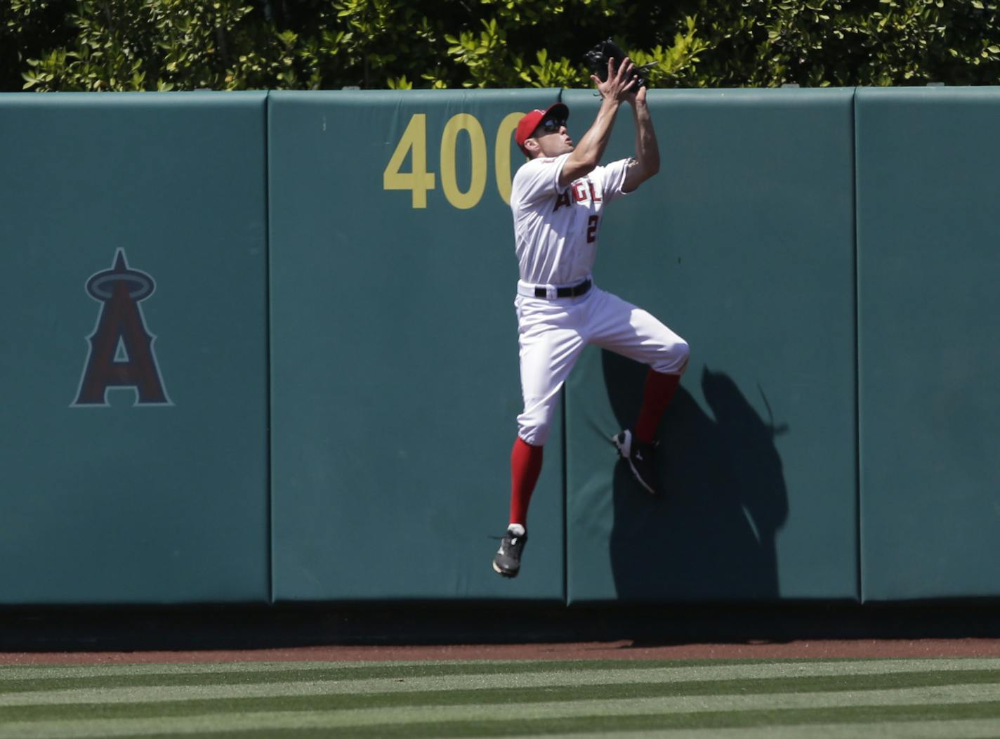 Los Angeles Angels center fielder Peter Bourjos makes a catch against the New York Yankees during a baseball game in Anaheim, Calif., Sunday, June 16, 2013. (AP Photo/Chris Carlson)