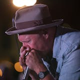 Pat Hayes on the harp during the Lamont Cranston Band's second set.