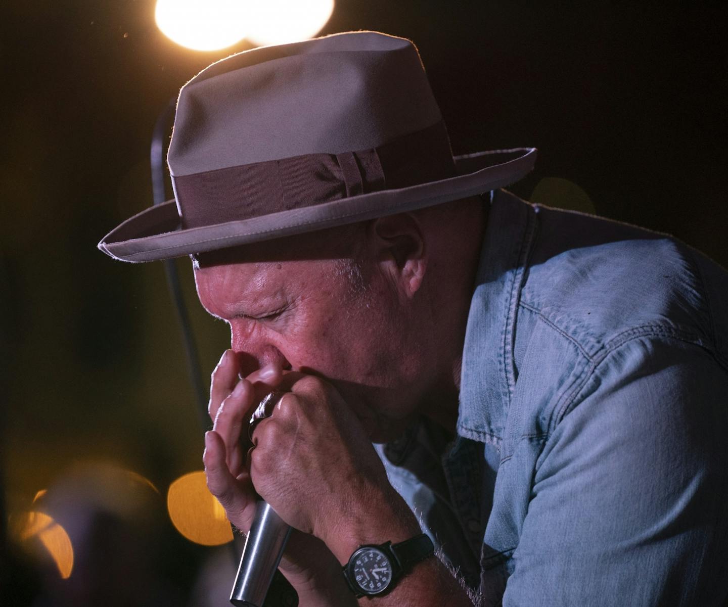 Pat Hayes on the harp during the Lamont Cranston Band's second set.