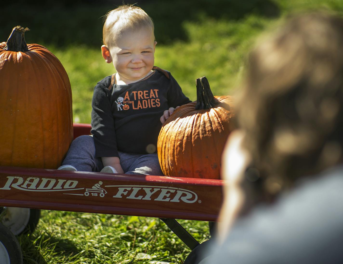 Henry Isaacson made the most of his pumpkin portrait session at Anoka County Farms.