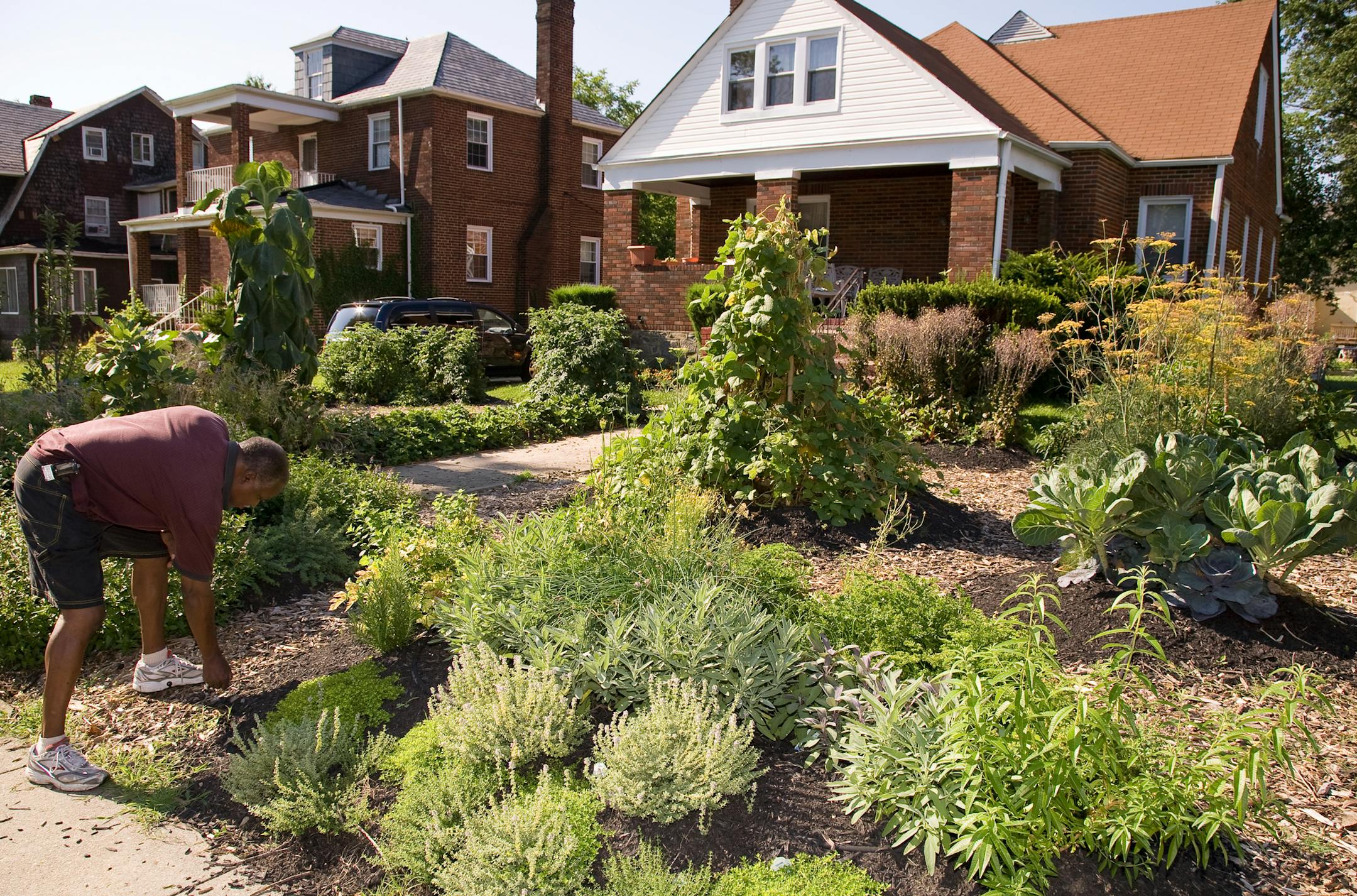 After: A home in Baltimore after artist Fritz Haeg created an edible landscape as part of his Edible Estates project.