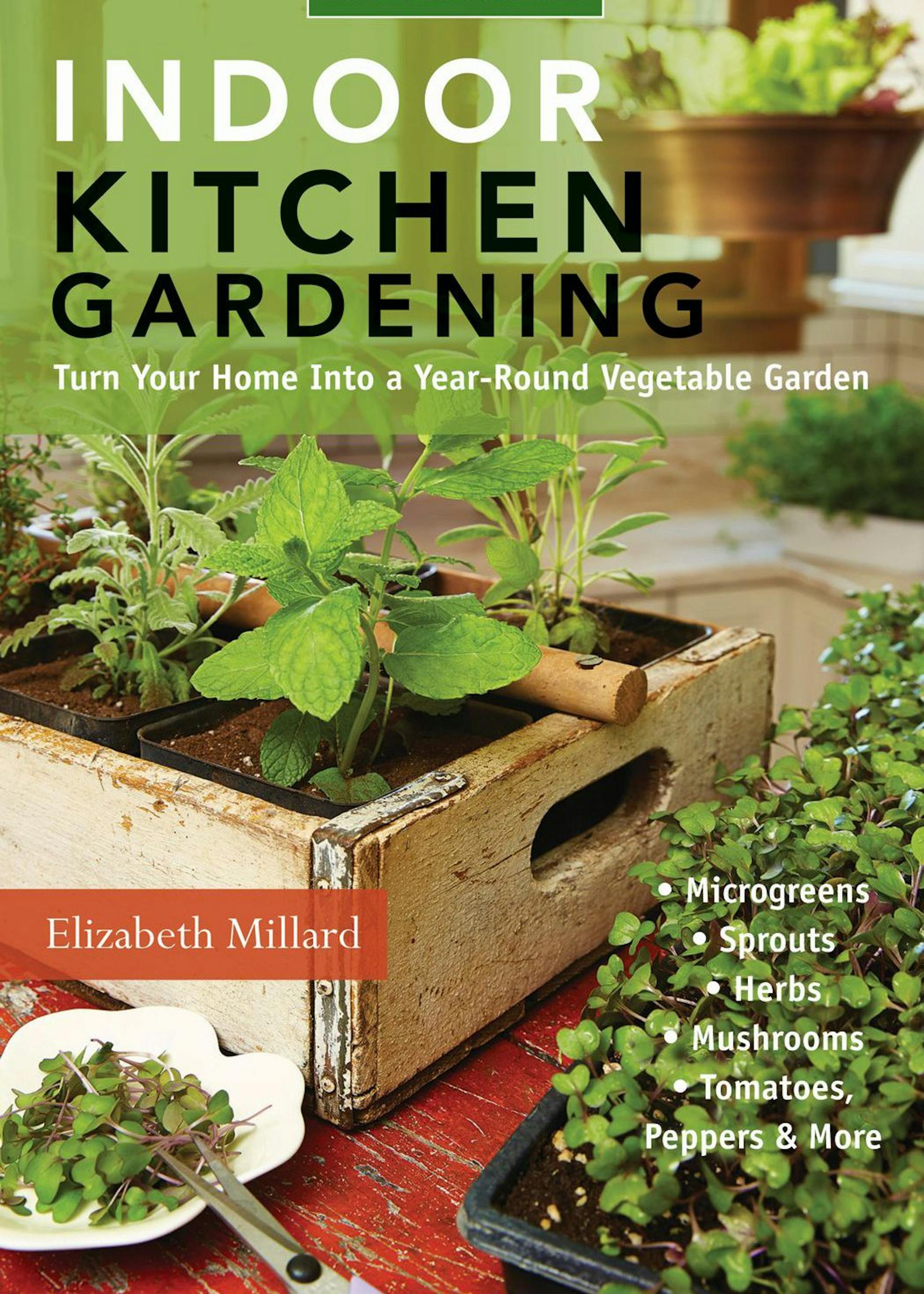 Indoor Kitchen Gardening