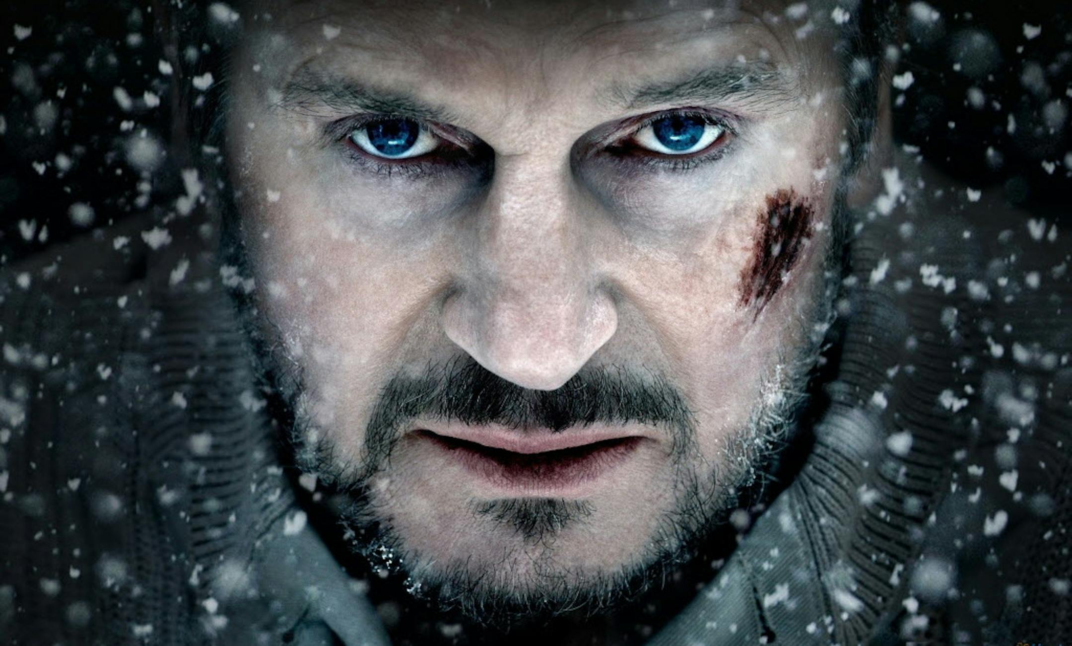 Liam Neeson in "The Grey"